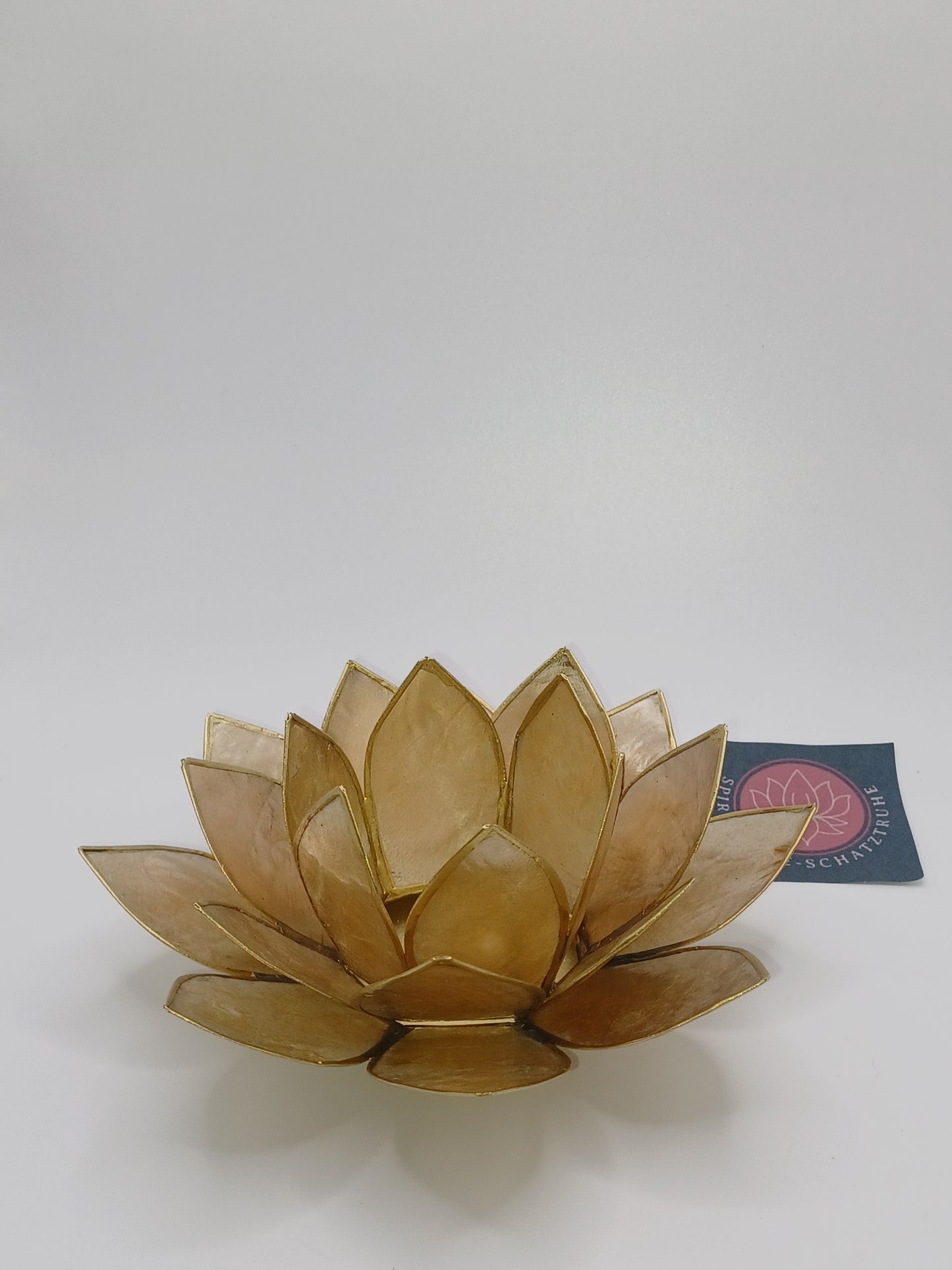 Lotus Teelichthalter beige goldfarbig 13, 5 cm aus Capiz Muscheln