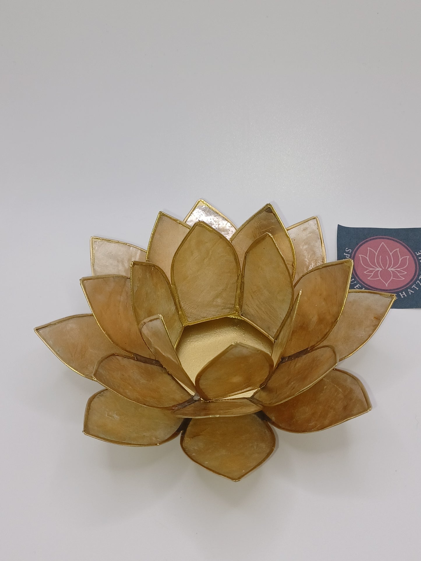 Lotus Teelichthalter beige goldfarbig 13, 5 cm aus Capiz Muscheln