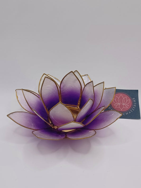 Lotus Teelichthalter violett Capiz Muscheln 13,5 cm