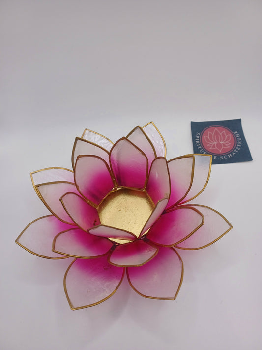 Lotus Teelichthalter rosa weiß goldfarbig 13,5 cm Capiz Muscheln