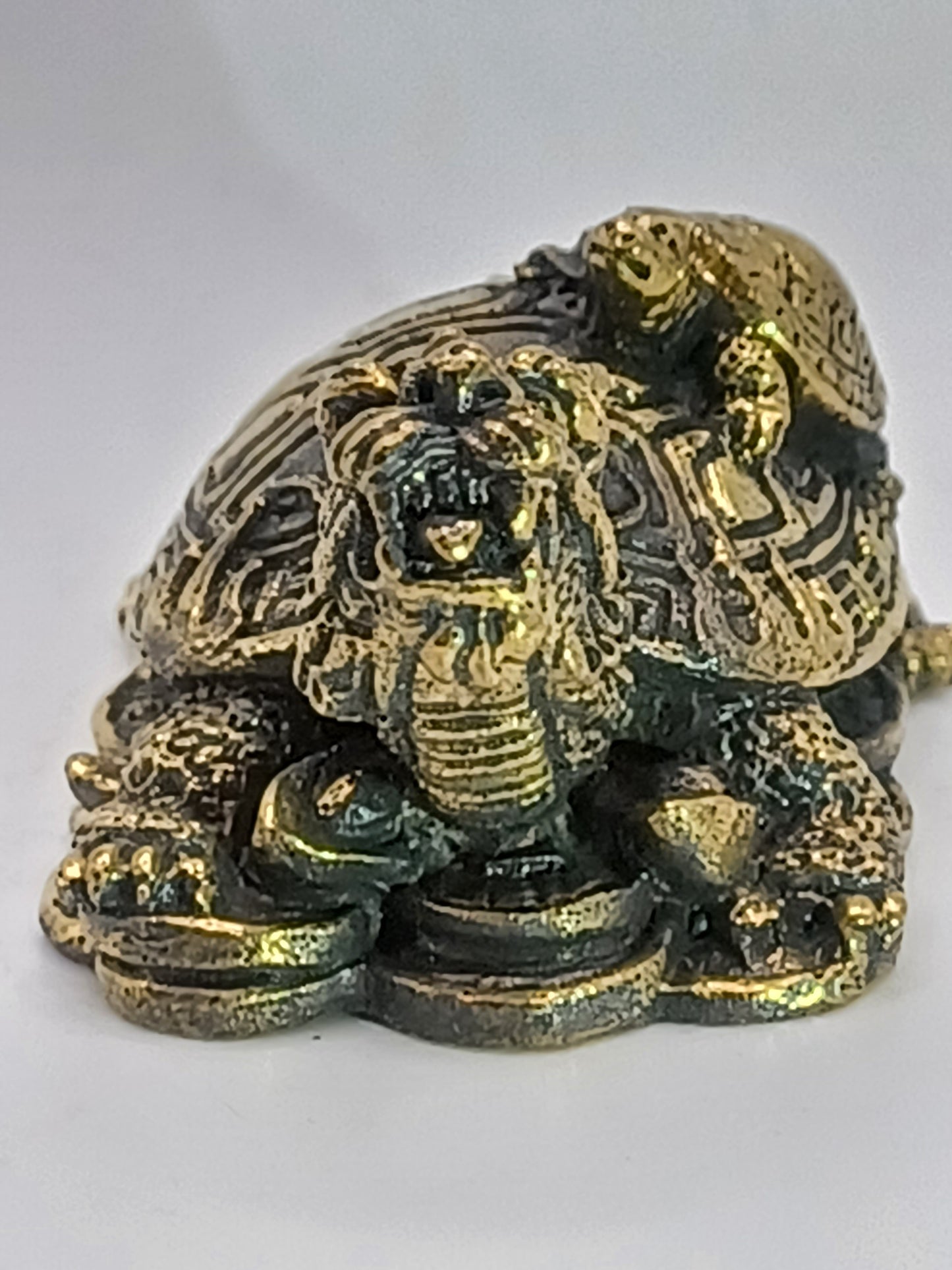 Drachenschildkröte Messing 6 x 3 cm Feng Shui Schutz Kraft Sicherheit Glück